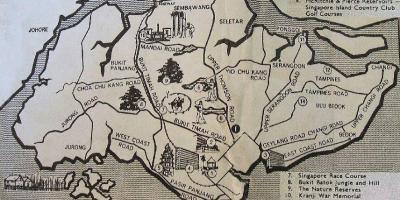 Stare mape iz Singapura