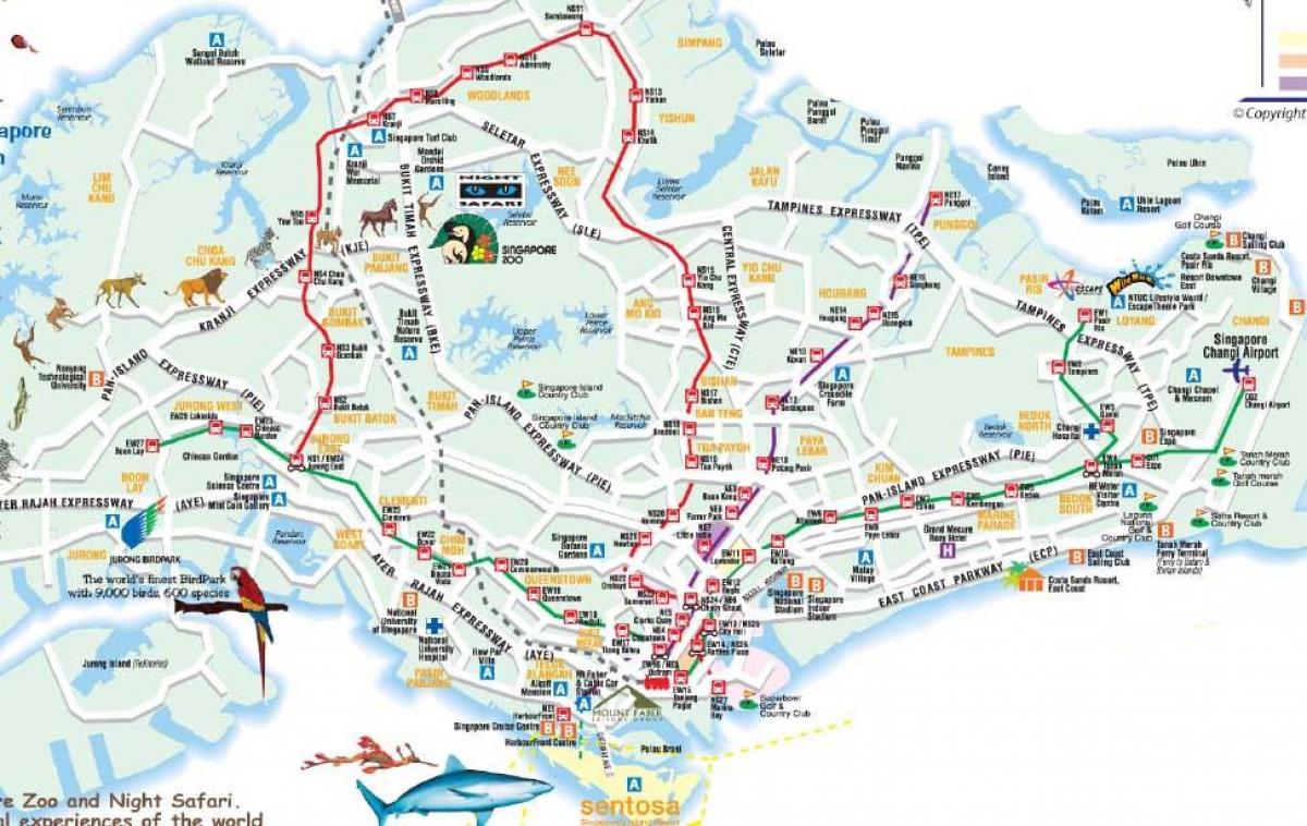 mapa puteva Singapur