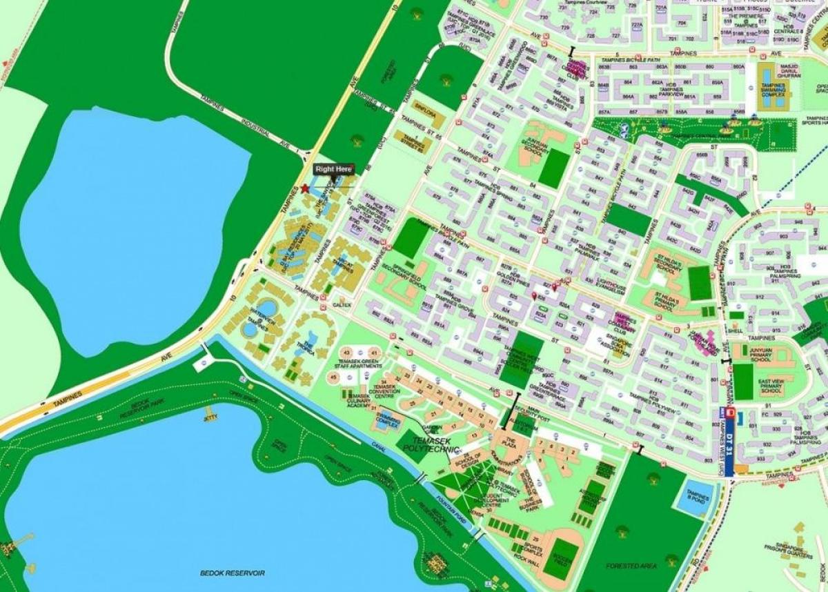 mapa tampines Singapur